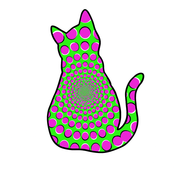 The Illusion Collection