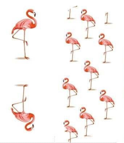 Flock Yeah Flamingo