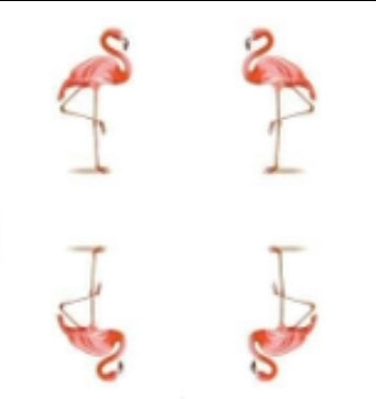 Flamingo Power!